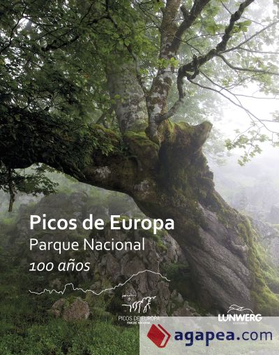 Picos de Europa