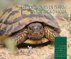 Les tortugues de terra i la tortuga d\'aigua a les Illes Balears