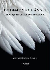 Portada de De demonio a &aacute;ngel