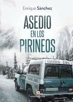 Portada de Asedio en los Pirineos (Ebook)