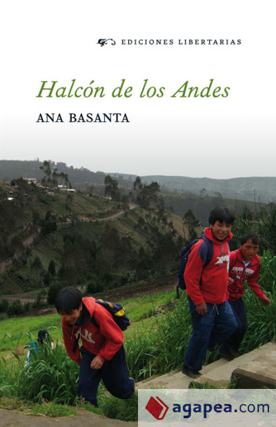 Halcón de los Andes