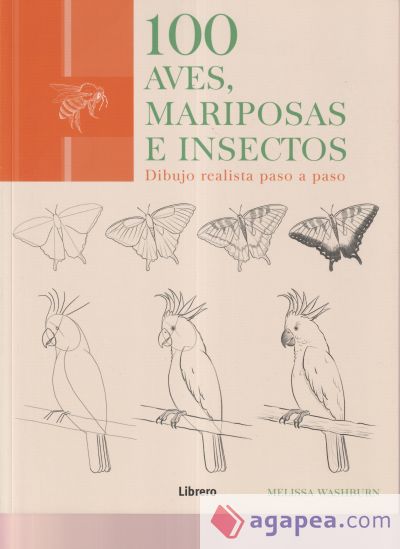 100 Aves, mariposas e insectos