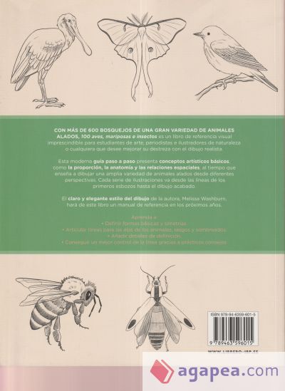 100 Aves, mariposas e insectos