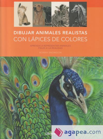 Dibujar animales realistas con lápices de colores