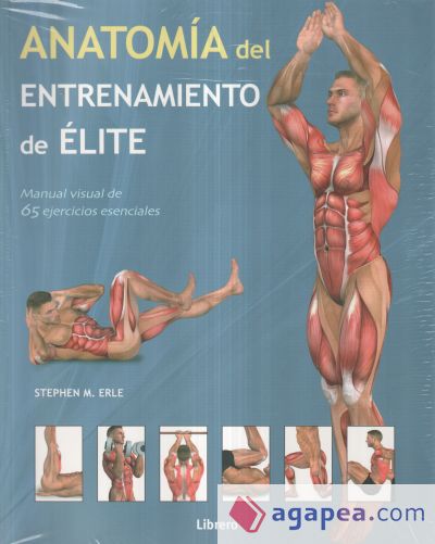 Anatomía del entrenamiento de élite