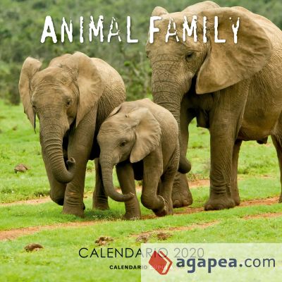 Calendario Animal Family 2020