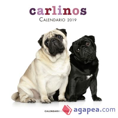 Calendario Carlinos 2019