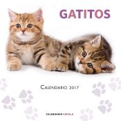 Portada de Calendario Gatitos 2017