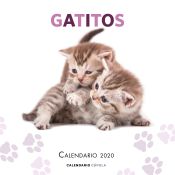 Portada de Calendario Gatitos 2020