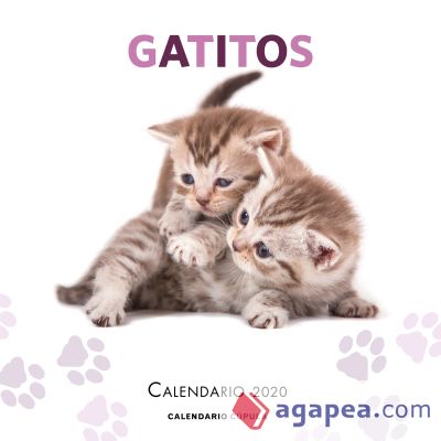 Calendario Gatitos 2020