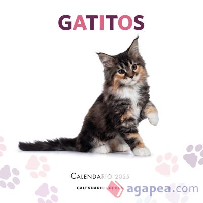 Calendario Gatitos 2025