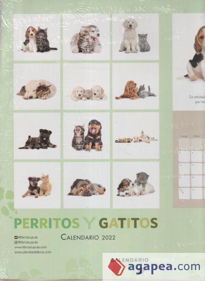 Calendario Gatitos y Perritos 2022