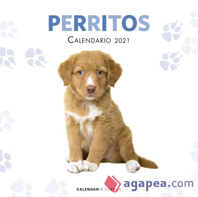 Calendario Perritos 2021