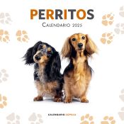 Portada de Calendario Perritos 2025