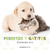 Portada de Calendario Perritos y gatitos 2016