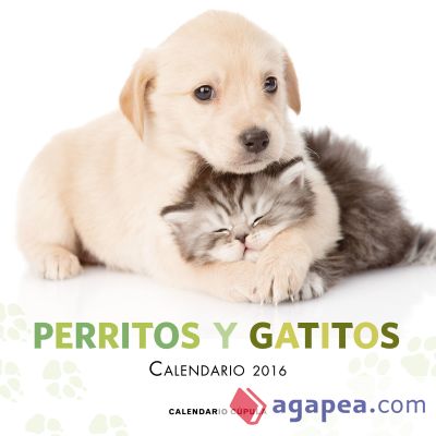 Calendario Perritos y gatitos 2016