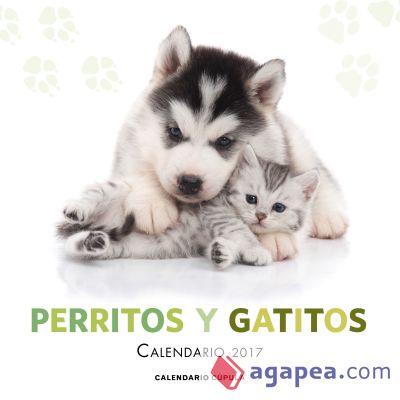 Calendario Perritos y gatitos 2017