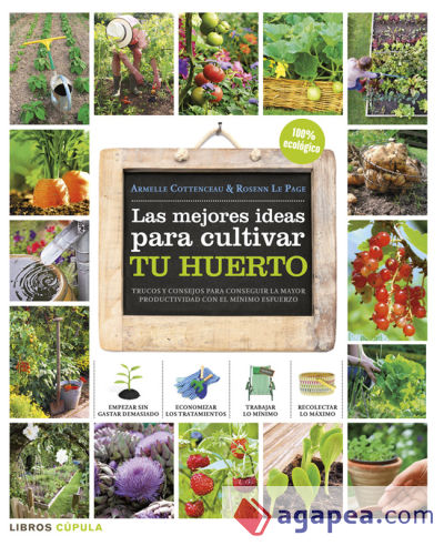 Las mejores ideas para cultivar tu huerto