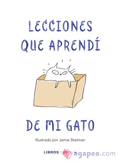 Lecciones de vida que aprendí de mi gato