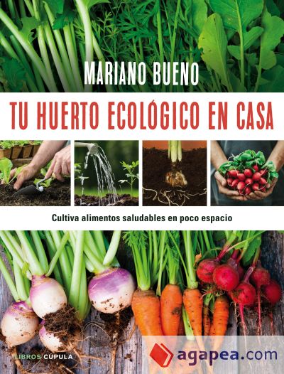 Tu huerto ecológico en casa