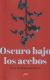 Portada de Oscuro bajo los acebos, de Borja Rodríguez Gutiérrez