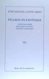 Portada de Figuras en fantasma: Tentativas sobre José Ángel Valente y Antonio Gamoneda