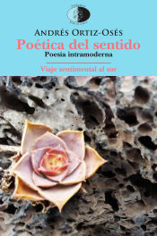 Portada de Poética del sentido ; Viaje sentimental al sur