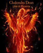 Portada de Like A Phoenix (Ebook)