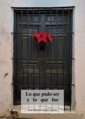Portada de Lo que pudo ser y lo que fue