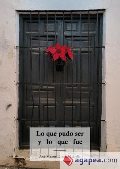 Lo que pudo ser y lo que fue Lo que pudo ser y lo que fue