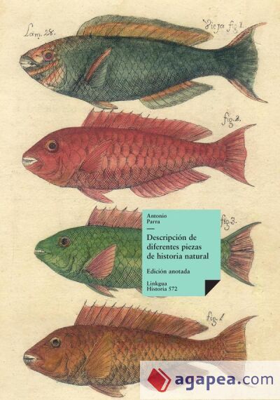 Descripci&oacute;n de diferentes piezas de historia natural
