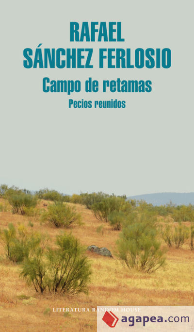 Campo de retamas