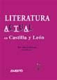 Literatura actual en Castilla y León