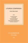 Liturgia comparada (II)