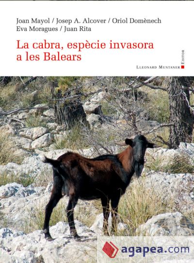 La cabra, espècie invasora a les Balears