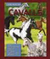 Llibre aventura. Cavalls