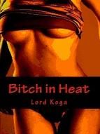 Portada de Bitch in Heat (Ebook)