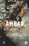 ámbar