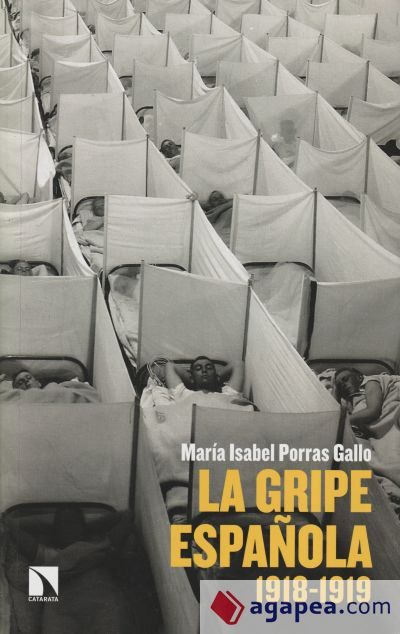 La gripe espa&ntilde;ola