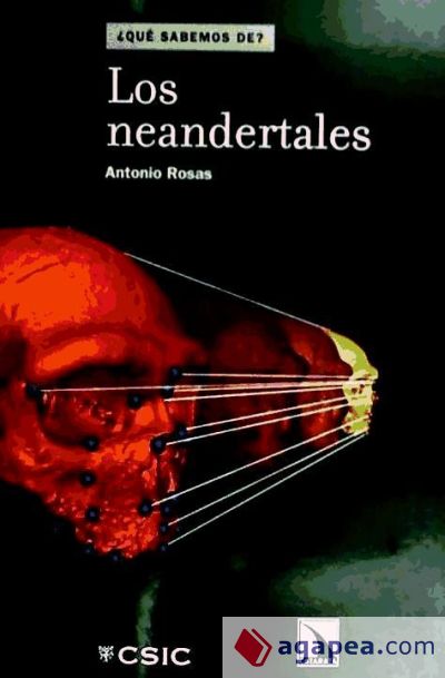 Los Neandertales