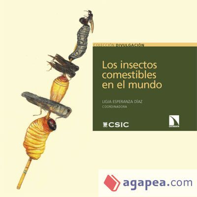 Los insectos comestibles en el mundo