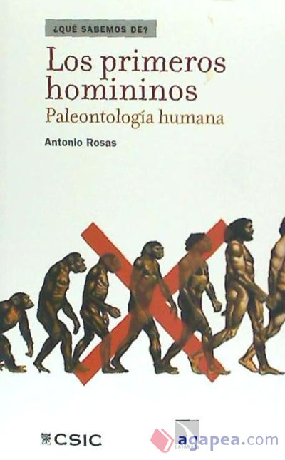 Los primeros homininos