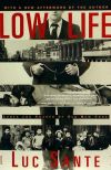 Low Life: Lures and Snares of Old New York