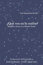 Portada de &iquest;Qu&eacute; ves en la noche?