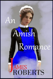 Portada de An Amish Romance