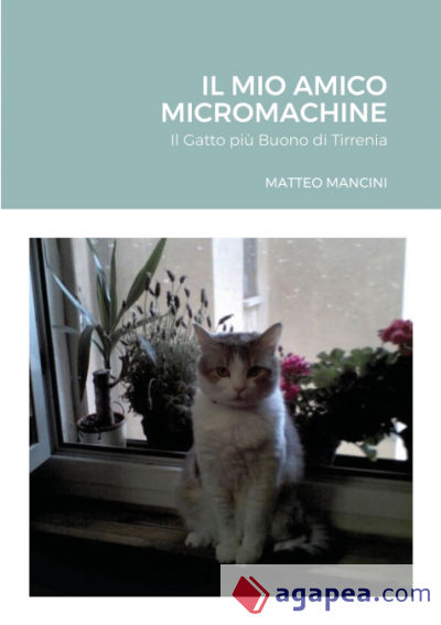 Il Mio Amico Micromachine