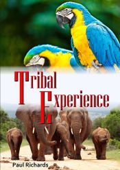 Portada de Tribal Experience