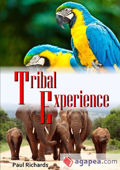 Tribal Experience