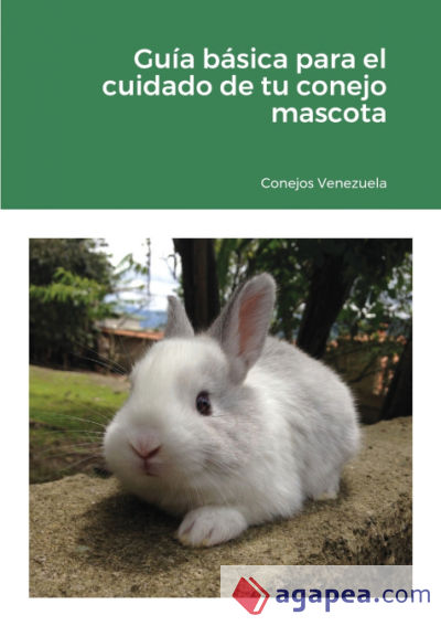 Guia Basica Para El Cuidado De Tu Conejo Mascota Conejos Venezuela