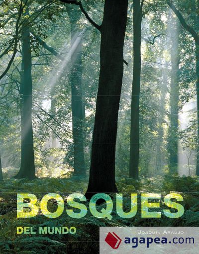 Bosques del mundo